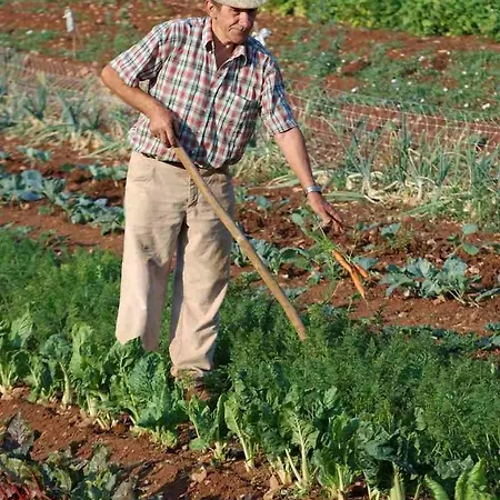 فندق Lokanda Devetak