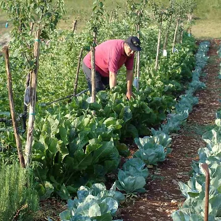 Hotel Lokanda Devetak 3*