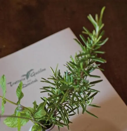 Hotel Lokanda Devetak Savogna dʼIsonzo