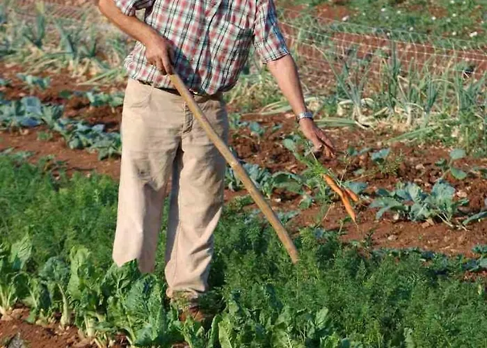 Hotel Lokanda Devetak