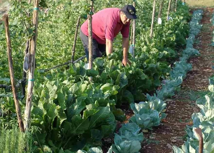 Hotel Lokanda Devetak 3*